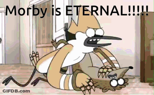 Morby Is Eternal Cartoon Bird And Raccoon GIF