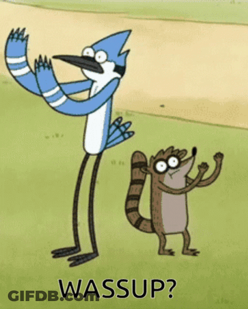 Mordecai And Rigby Regular Show GIF