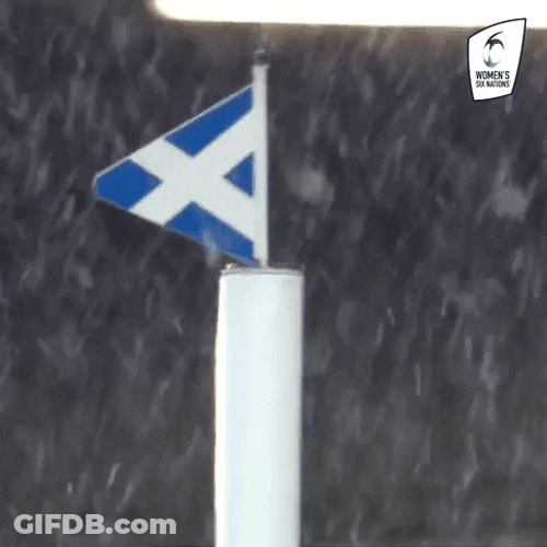More Snow Scottish Flag Womens Rugby GIF