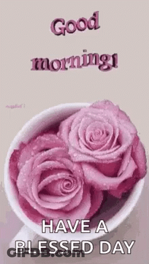 Morning Blessings Cup Of Roses GIF