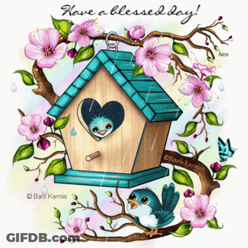 Morning Blessings Cute Bird House GIF