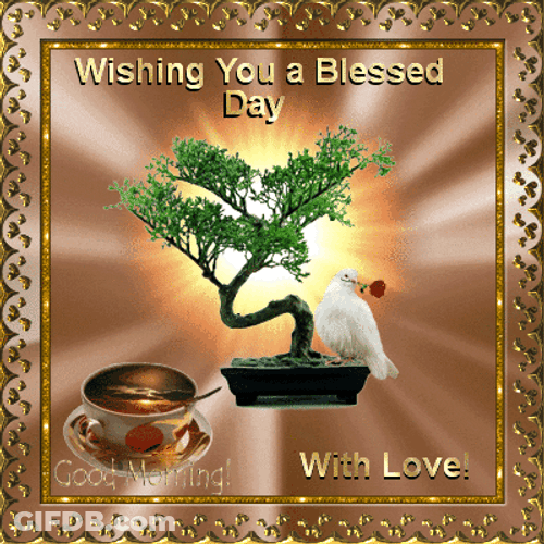 Morning Blessings Dove & Bonsai Tree GIF