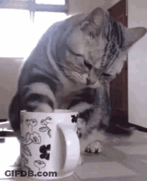 Morning Coffee Cat Cup Paws Licking Dipping GIF