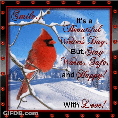 Morning Glory Winter Love GIF
