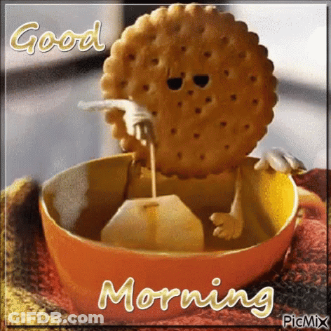 Morning Good Morning GIF