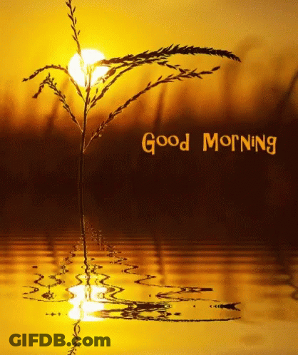 Morning Greeting Card With Tree GIF