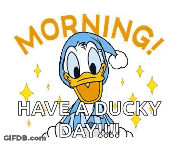 Morning Have A Ducky Day GIF