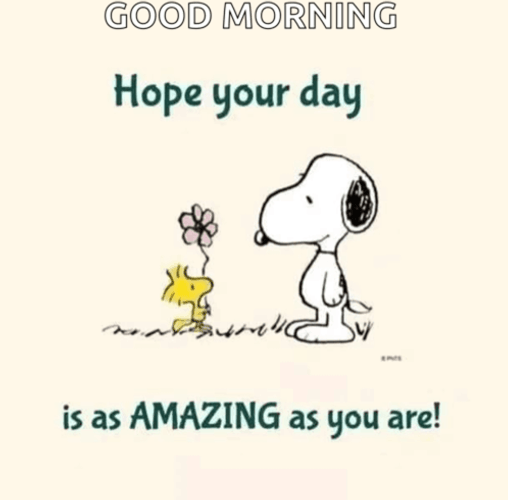 Morning Hugs As Amazing As You Are GIF