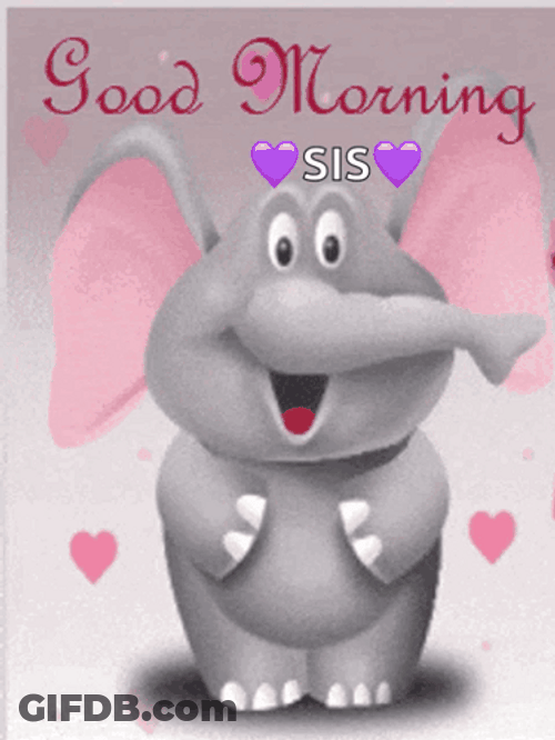 Morning Hugs From Baby Elephant GIF