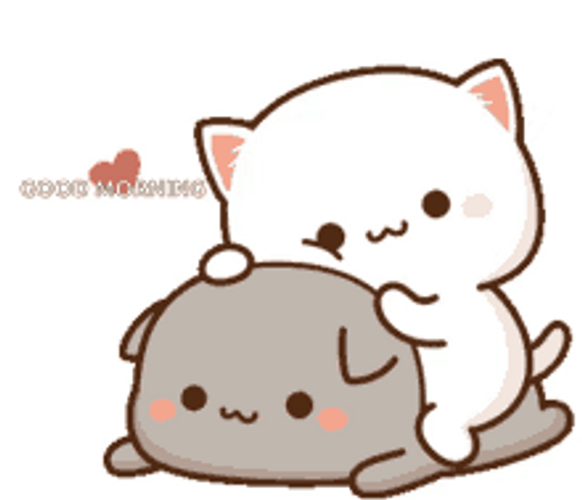Morning Peach Goma Hug GIF