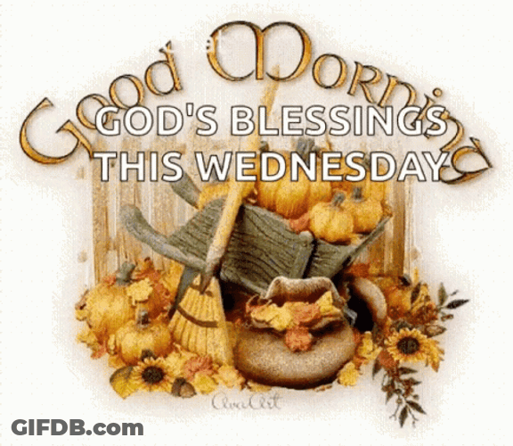 Morning Wednesday Autumn Wheelbarrow Containing Squashes GIF