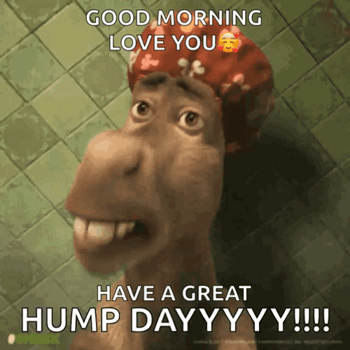 Morning Wednesday Shrek Donkey Shouting GIF