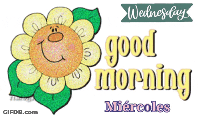 Morning Wednesday Smiling Flower GIF