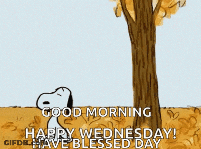 Morning Wednesday Snoopy Puffing Leaves Away GIF