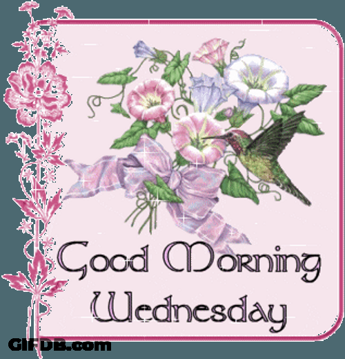 Morning Wednesday Sparkling Pretty Flowers GIF