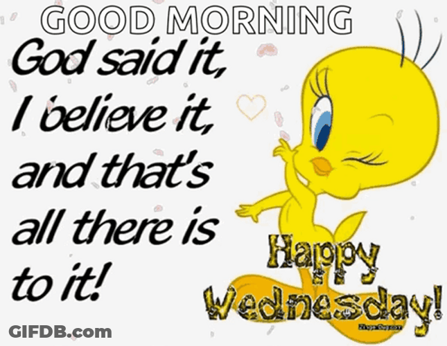 Morning Wednesday Tweety Bird Winking GIF