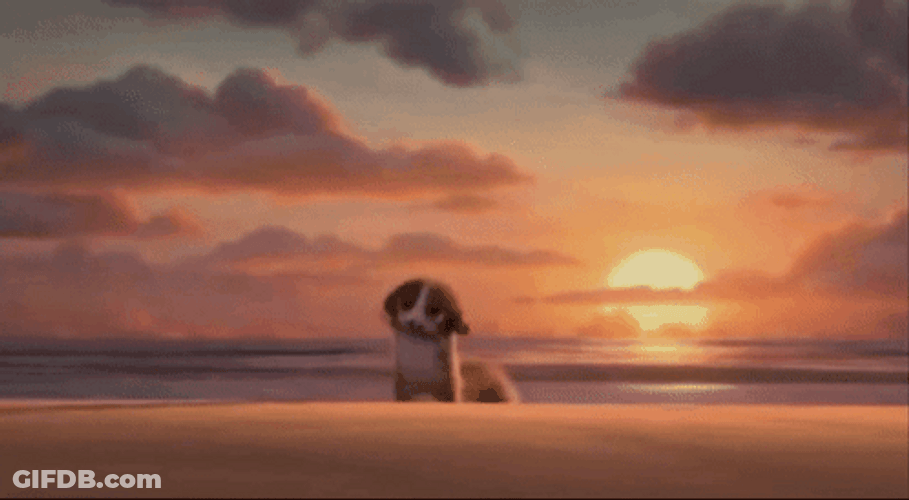 Mort Shark Attack GIF