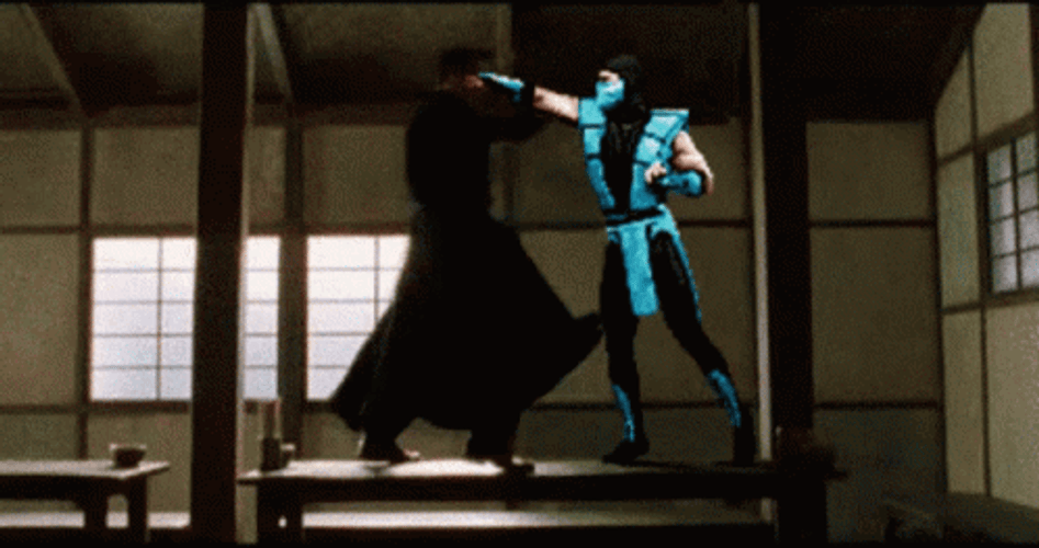 Mortal Kombat Sub Zero 3D Fighting GIF