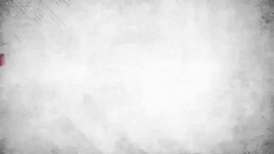Moscow Mitch Mcconnell Turtle Poster GIF