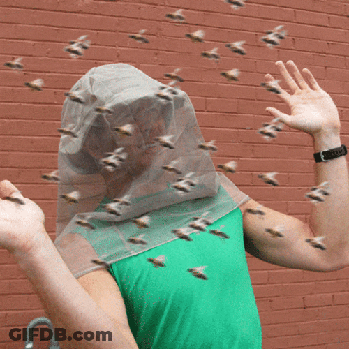 Mosquito Attack GIF