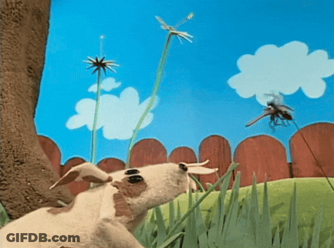 Mosquito Barking GIF