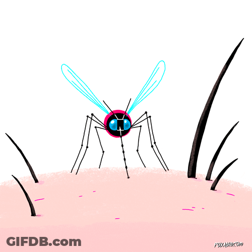 Mosquito Blood Explode GIF