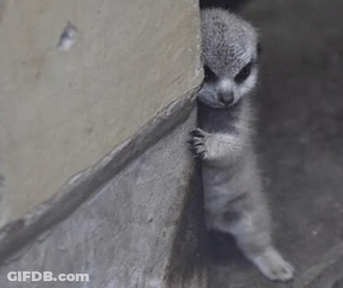 Mosquito Crawling On Arm Saying LOL GIF