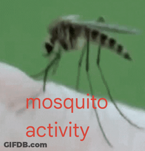 Mosquito Crawling On Arm Saying Mosquito Activity GIF