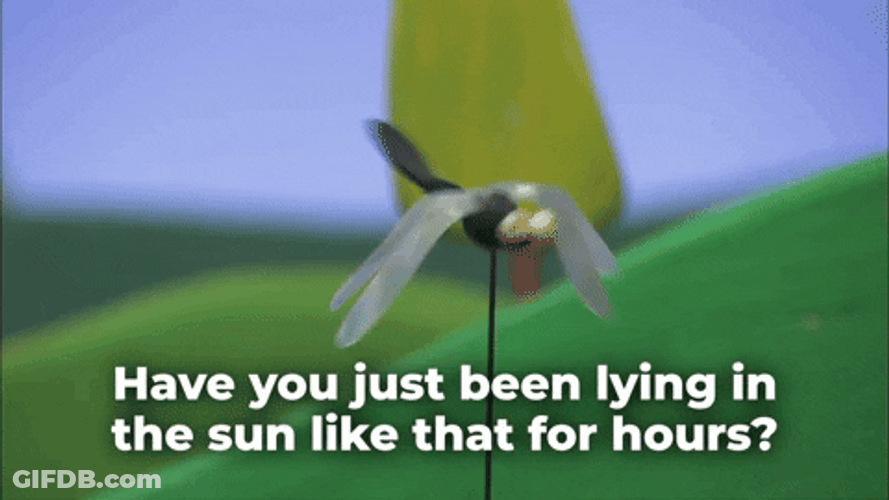 Mosquito Flying In The Sun GIF