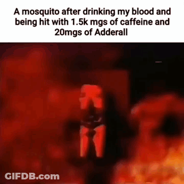 Mosquito Hit With Caffeine And Adderall GIF