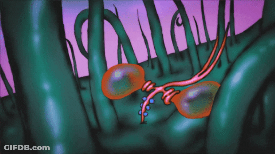 Mosquito Larva Dance GIF