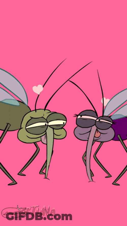 Mosquito's Sudden Heart Break GIF