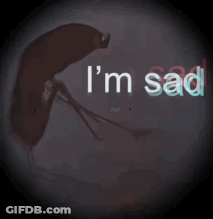 Mosquito Saying Im Sad GIF