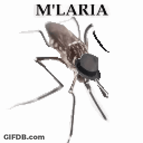 Mosquito With Hat Saying Milaria GIF