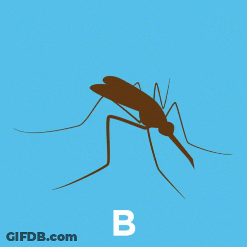 Mosquito With Letter B GIF