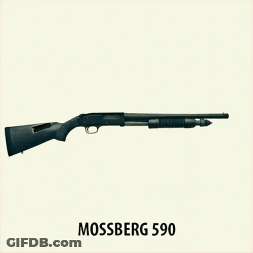 Mossberg Different Cool Shotgun GIF
