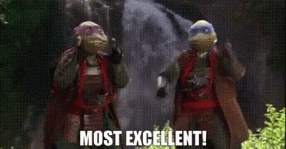 Most Excellent Leonardo TMNT GIF