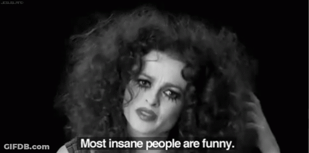 Most Insane People Are Insane GIF