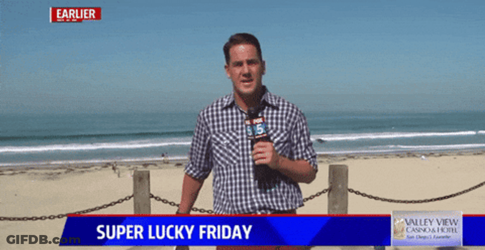 Moth Disturbing The Newscaster GIF