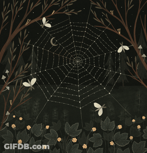 Moth Flying Around The Web GIF