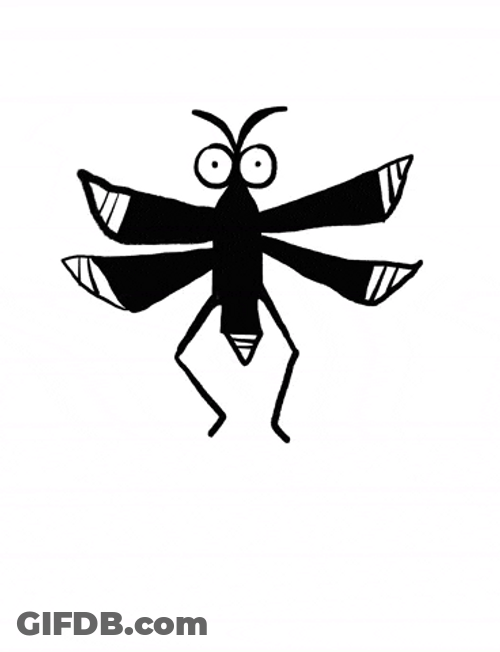 Moth Funny Dancing GIF