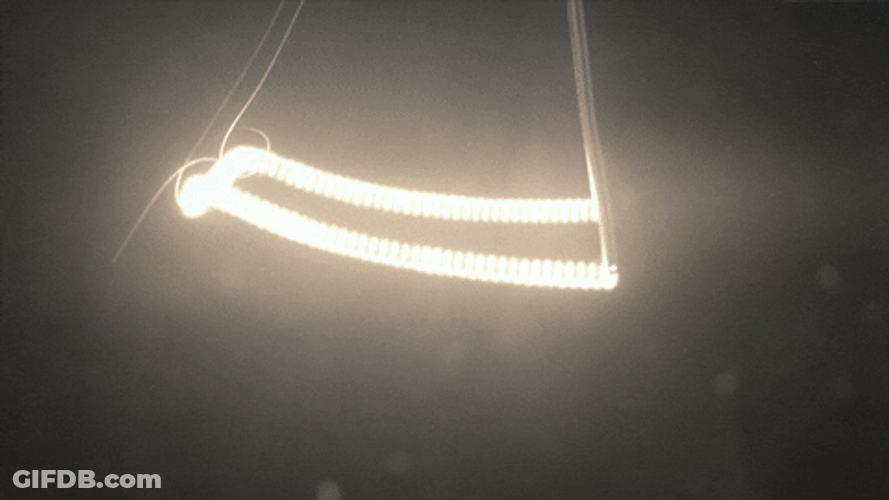Moth Got Hurt From The Torch GIF