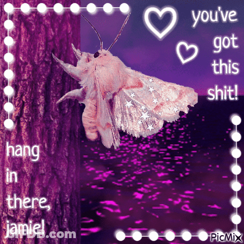 Moth Hanging From Tree Saying You've Got This Shit GIF