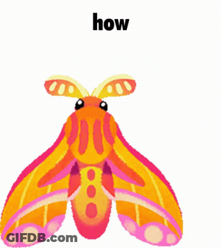 Moth Holding Knife Saying How GIF