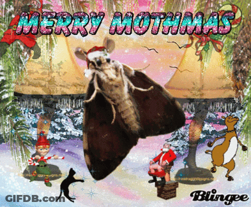 Moth In Santa Hat Merry Mothmas GIF
