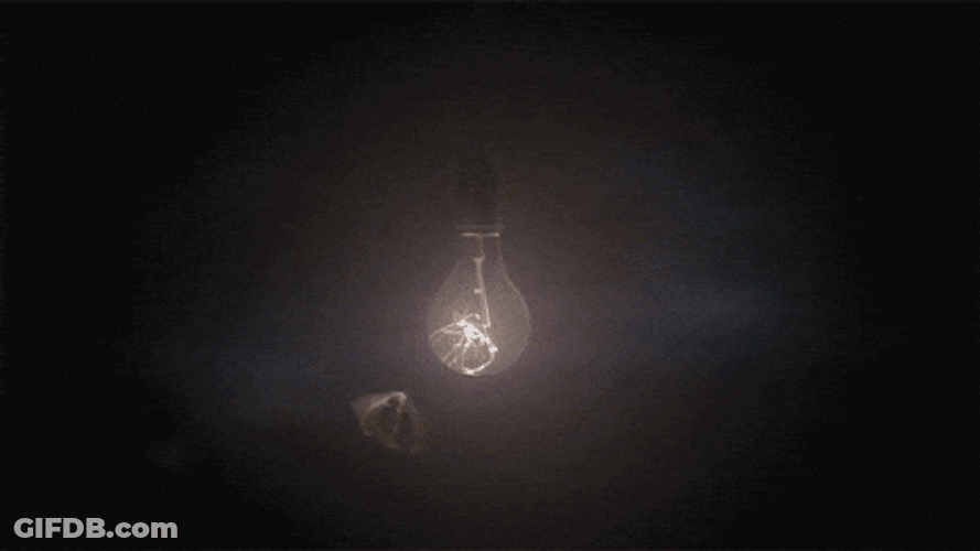 Moth Light Reflection GIF