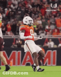 Moth Saying Mothin GIF