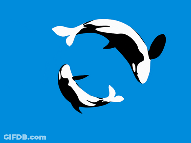 Mother And Child Orca GIF
