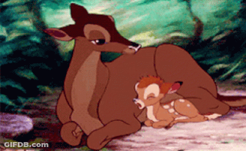 Mother Deer And Baby Deer Cartoon GIF