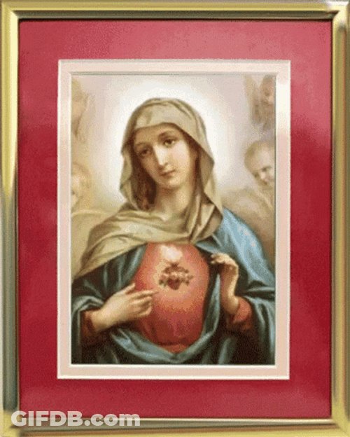Mother Of God Virgin Mary Image Compilation GIF